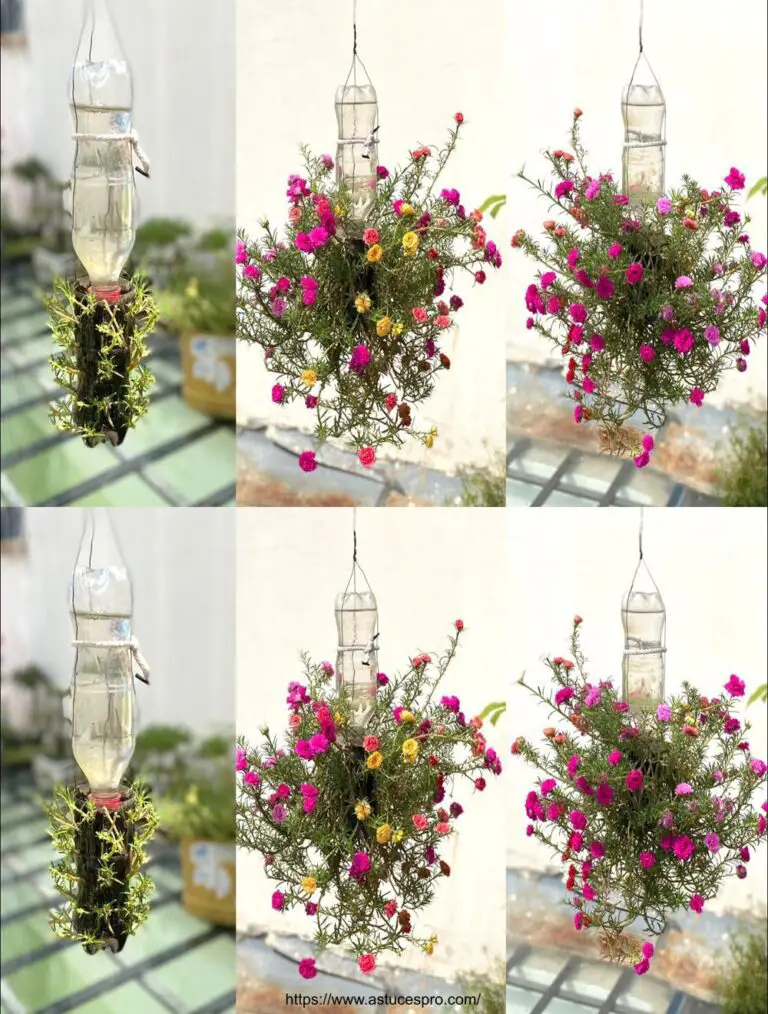 ¿Lo sabías? Pulsa Flores en botellas de plástico para una decoración de balcón magnífica sin riego requerido