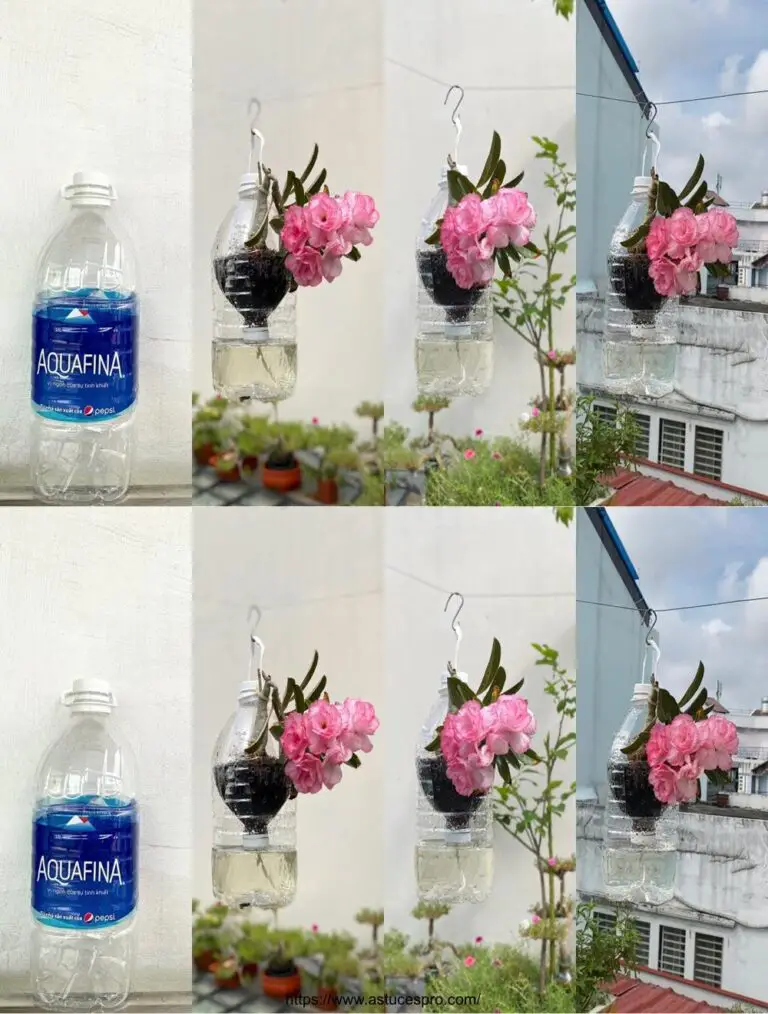 Ideas ecológicas: Cultivar plantas en botellas de plástico sin riego