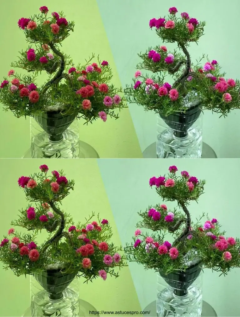 Cómo crear hermosas flores bonsai en diez horas sin necesidad de agua en una olla de plástico reciclado, simple y hermoso.