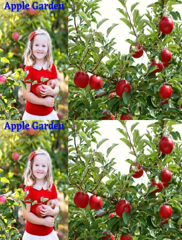 Jardín mágico de las manzanas: La revolución de la tecnología agrícola