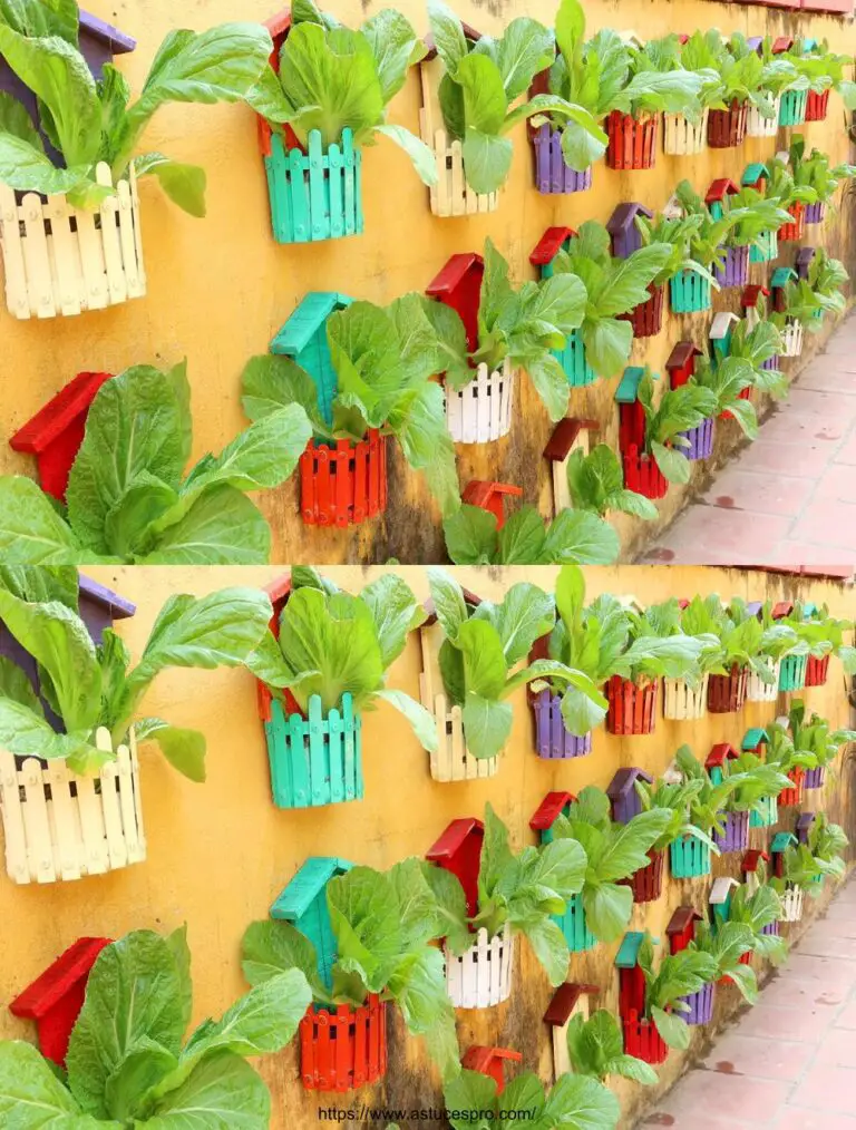 Jardín Vegetal coloreado afilado en la pared, cultivando verduras en casa