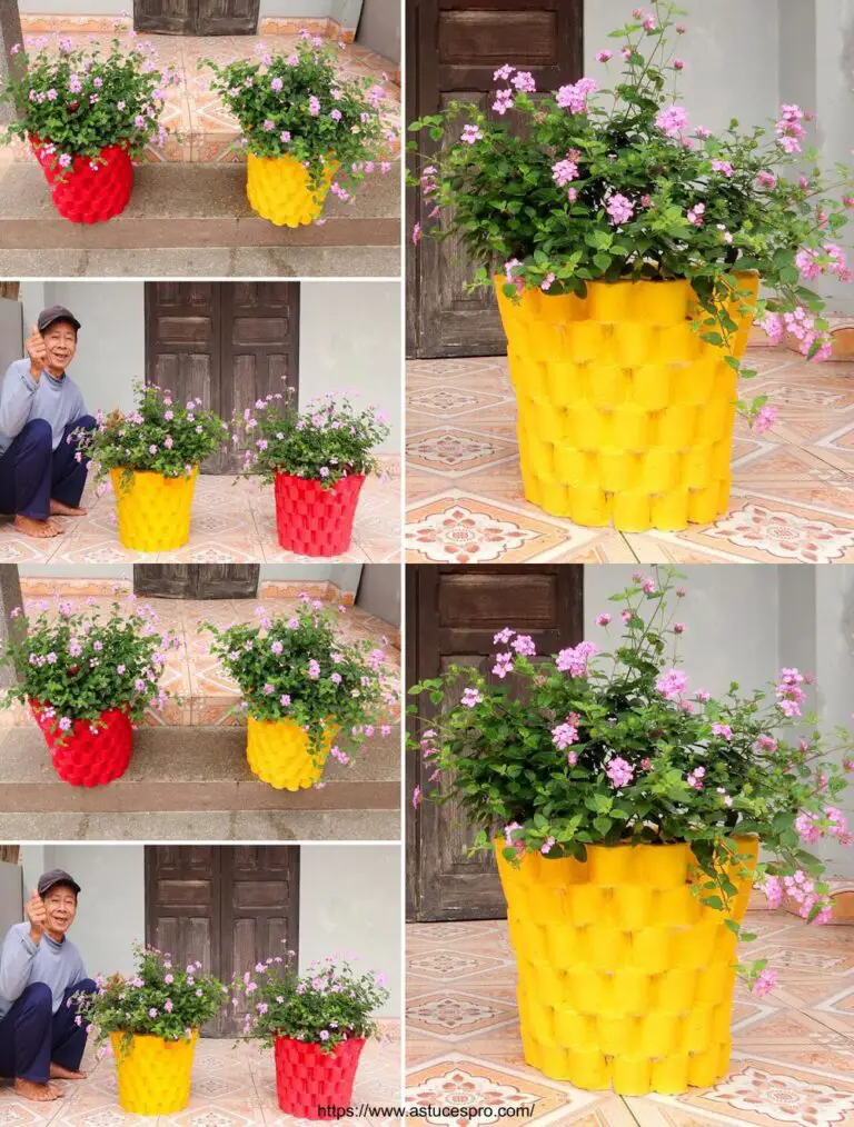 Grandes ideas: Fácilmente crear puntos de flores de cemento para un jardín pequeño