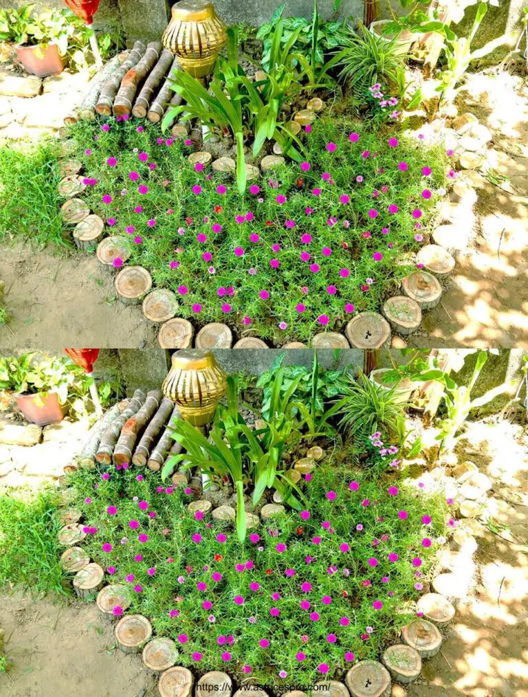 Ideas de jardinería: Inteligente y Creativo