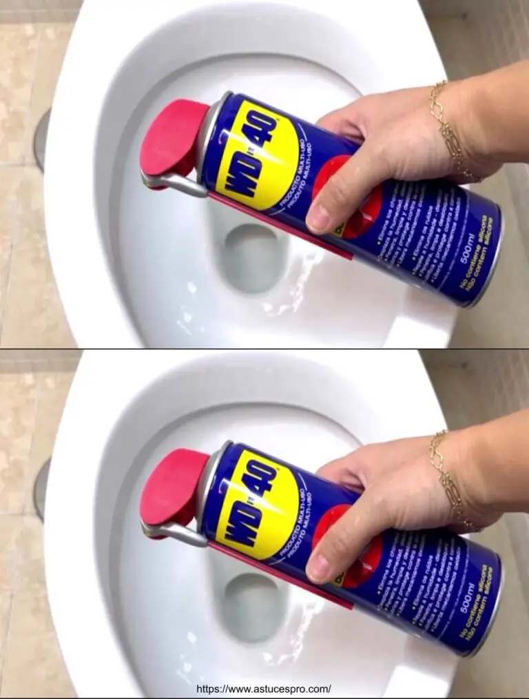 El único y único WD40 Consejo que todo el mundo debe saber y 20 otros usos