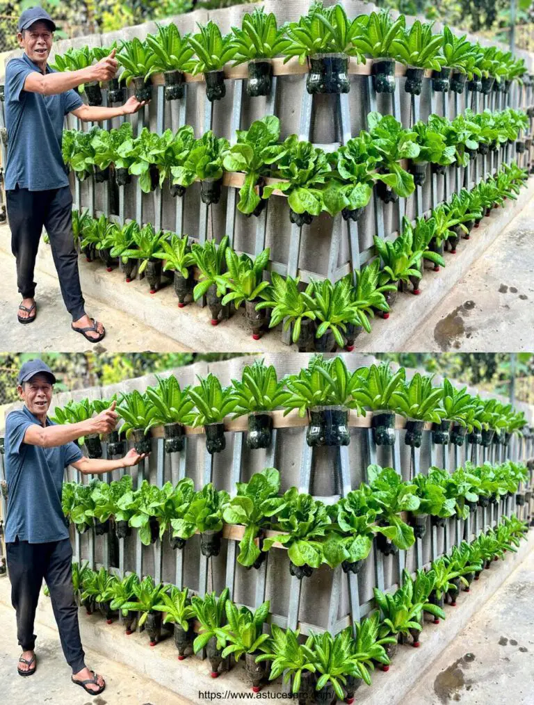 Muro vegetal increíblemente hermoso, hecho de botellas de plástico reciclado