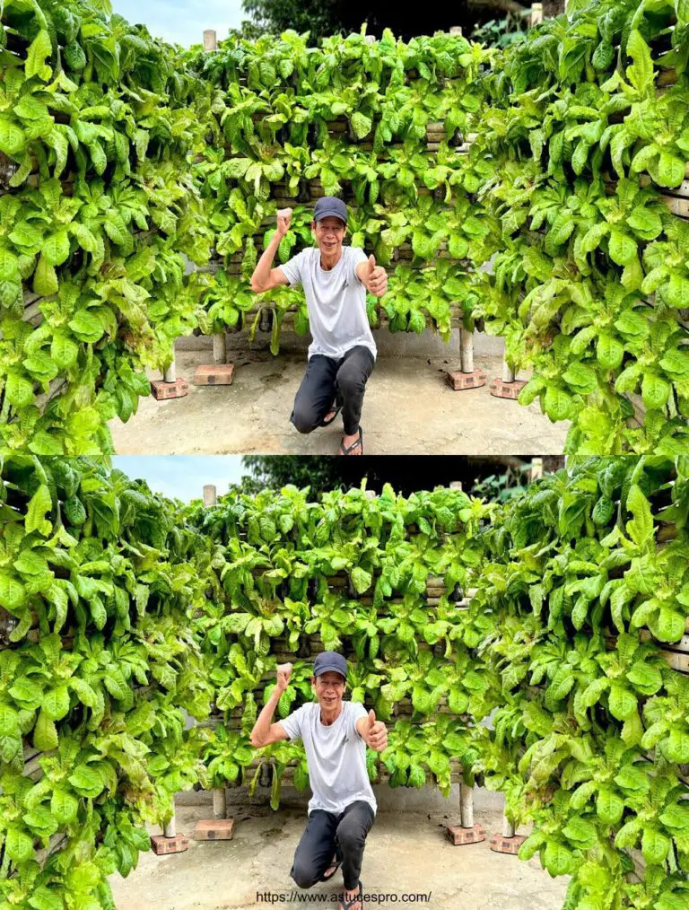 Sin necesidad de jardín, ¡convierte botellas en plástico en increíblemente hermosos muros vegetales!