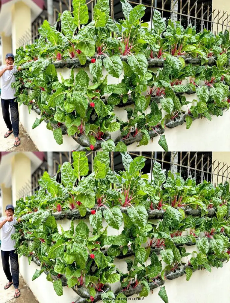 Convertir una pared en un jardín vertical de verduras súper creativas, simples y económicas