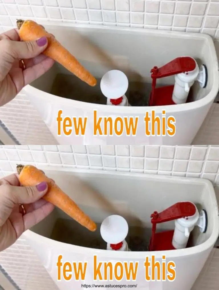 Inserta un Carrot en tus Toilets, ¡Prepárate para ser apedreado!