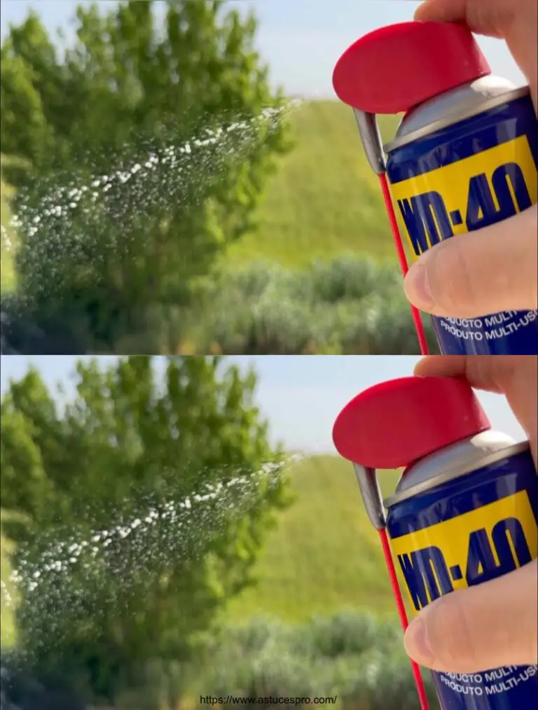 17 Grandes consejos para saber con el WD-40 que el mundo debe saber