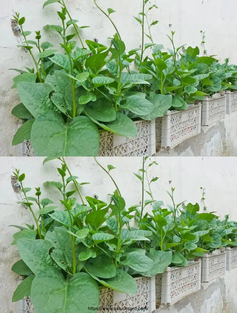 No es necesario un jardín, convertir una pared en un jardín colgando miniatura con simples cestas de plástico viejas.