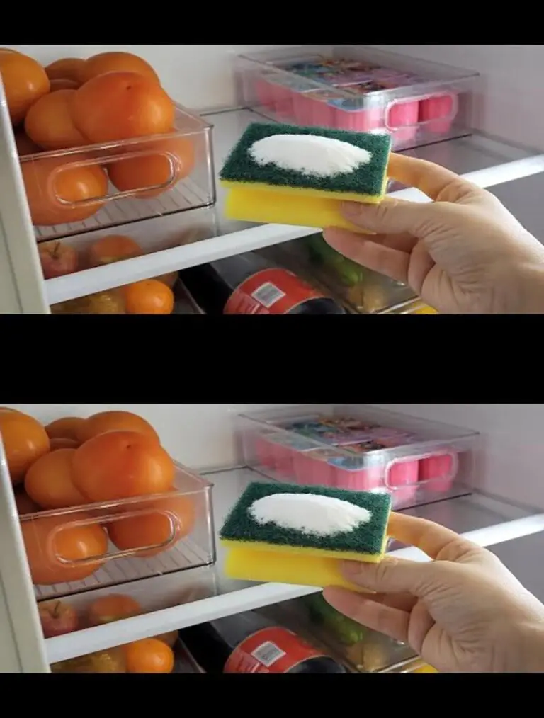 Coloque un PONGE con Soda Bicarbonato en su FRIGO y sorprenda el resultado!