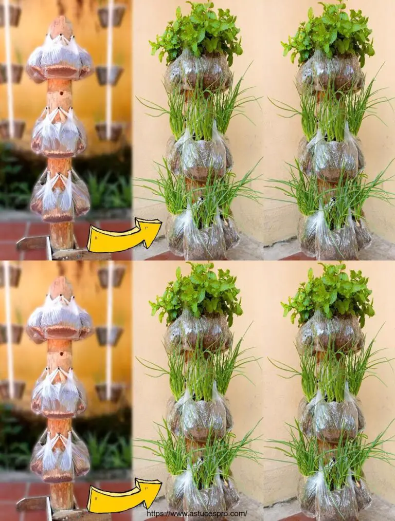 Cultivar cebollas y menta en casa: idea perfecta para pequeños espacios con un jardín vertical