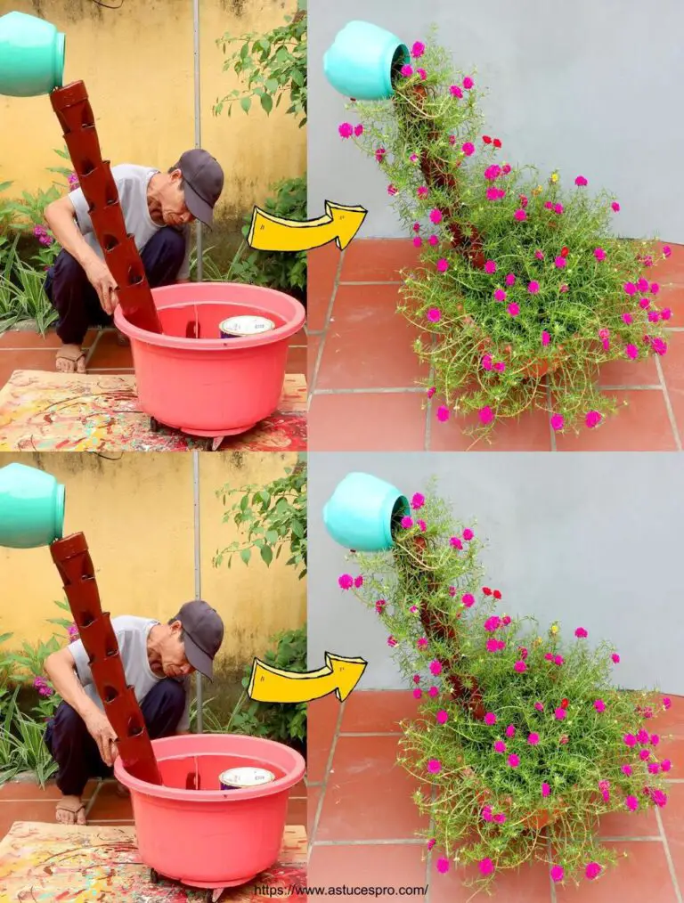 Ideas DIY Sorprendente para decorar su jardín de forma única