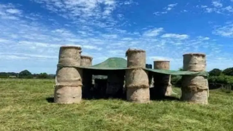 Cómo un Agricultor Usó la Innovación para Proteger su Ganado del Calor Intenso