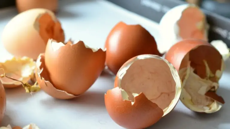 Cómo Hacer Abono Líquido de Calcio con Cáscaras de Huevo: Una Guía Paso a Paso