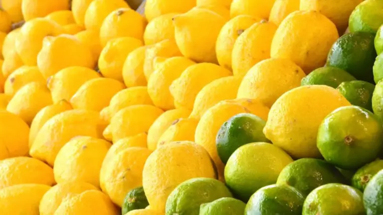 El Limón: Un Cítrico Versátil y Esencial en Nuestra Vida Cotidiana