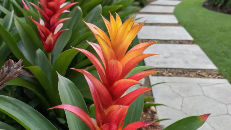 Guzmania: La Planta Resistente que Aporta Color a Tu Jardín