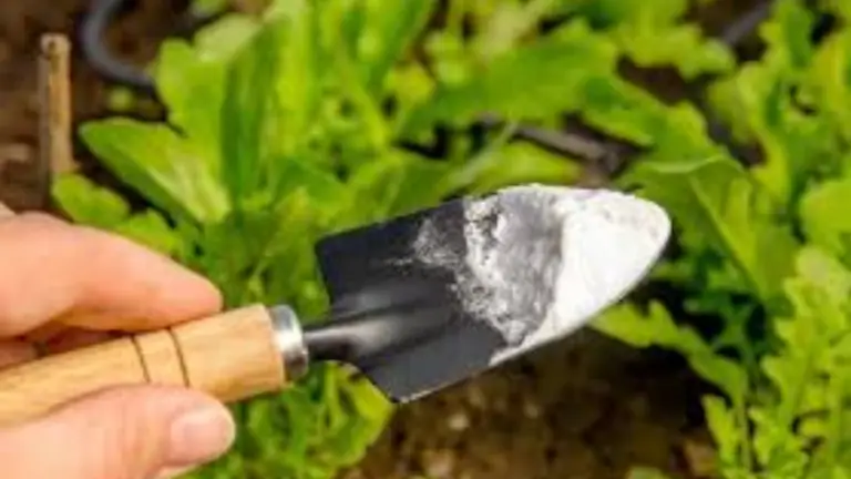 Bicarbonato de Sodio en Tus Plantas: Beneficios y Cómo Usarlo Efectivamente