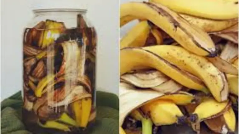 Transforma tu jardín: fertilizantes poderosos y gratuitos con cáscaras de plátano y cascarones de huevo