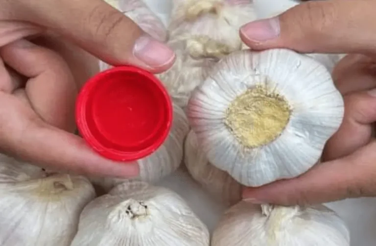 Pela Alho em Segundos com uma Tampa de Garrafa!