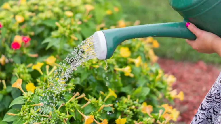 La Verdadera Riqueza: La Naturaleza en Nuestras Vidas