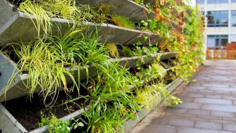 Mejores Consejos de Jardinería de Todos los Tiempos