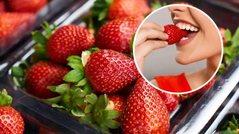 El Truco Infalible de Mi Abuela para Cultivar Fresas Sin Gastar Apenas