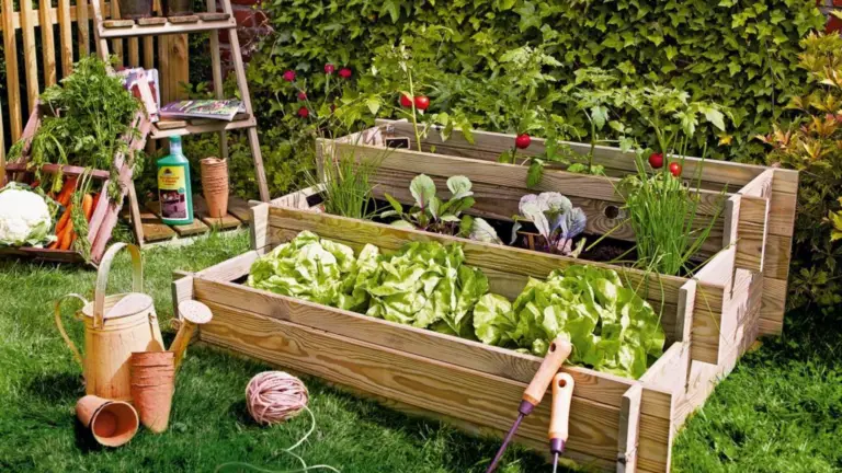 Guía Paso a Paso para Crear una Jardinière de Hierbas DIY
