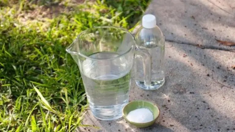 Solución Natural para Eliminar Malas Hierbas: Vinaigre, Sal y Jabón para Platos