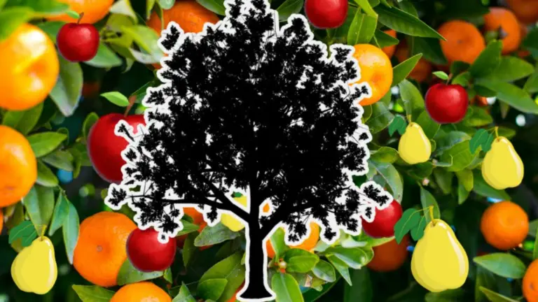 20 Árboles Frutales que Pueden Cultivarse en Macetas