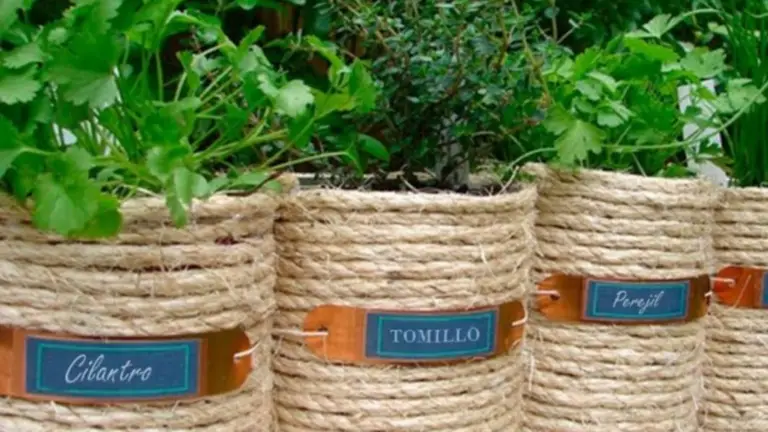 Cultivar Plantas en Paniers a Linge: Una Solución Creativa y Eficaz