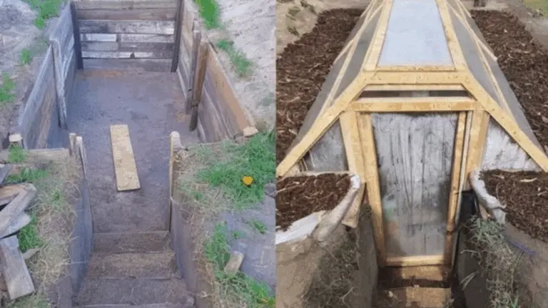 Cómo Construir una Serre Walipini Para Cultivar Alimentos Durante Todo el Año