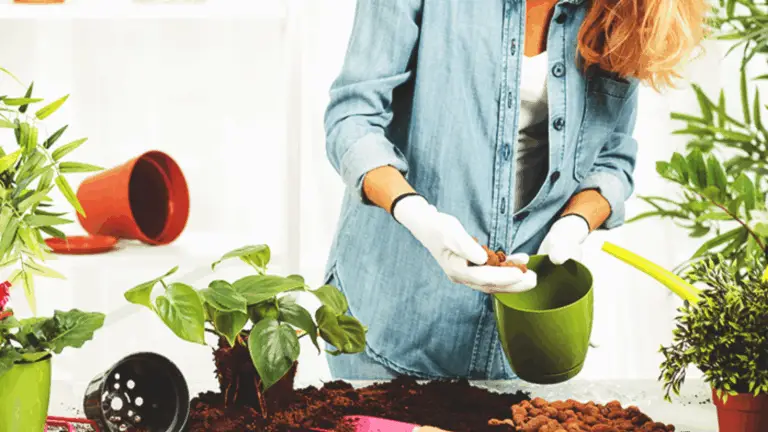 No Necesitas un Gran Jardín para Cultivar Tu Propia Comida