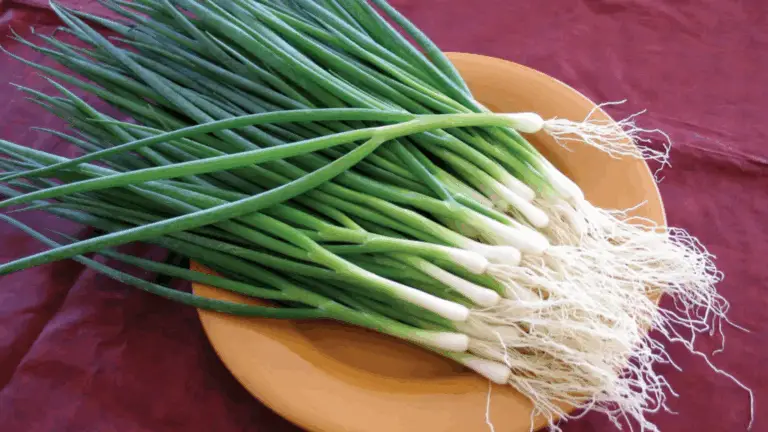 Cómo Hacer Crecer Cebollas Saludables: Un Fertilizante Natural