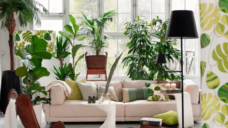 Cómo Decorar y Refrescar tus Interiores con Plantas