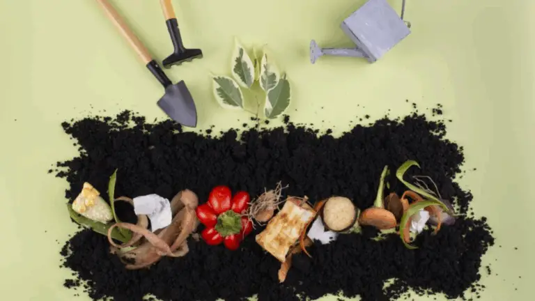 La Guía Definitiva para el Compostaje: Transforma los Desperfectos en Oro para tu Jardín