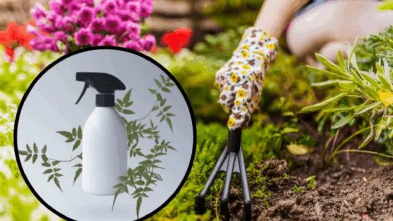 Herbicida Natural: Mantén Tu Jardín Libre de Malezas sin Químicos
