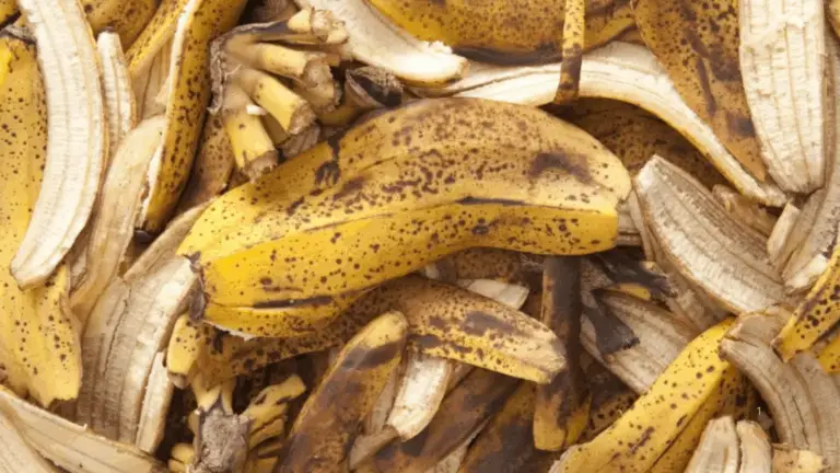 Magia de los Plátanos: Control Natural de Áfidos en Tu Jardín