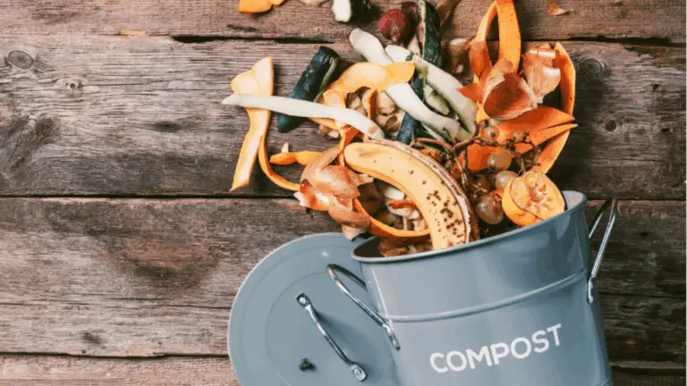 Materiales Ideales para el Compostaje: Transforma tus Residuos en Abono Natural