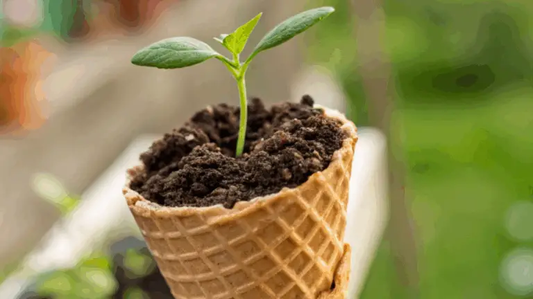 ¡Una Astucia Inteligente para el Jardín!