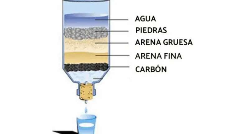 Cómo Hacer un Filtro Purificador de Agua de Lluvia: Un Método Sencillo y Ecológico