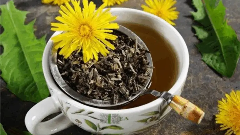 Café de Raíz de Diente de León: Una Alternativa Saludable y Deliciosa