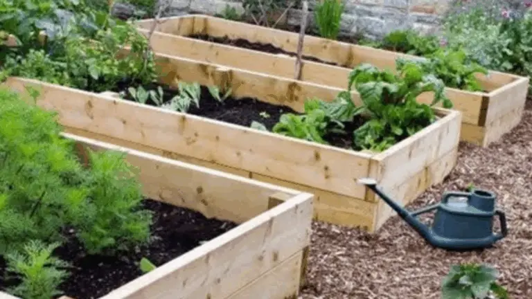 Cómo Rellenar un Bac Surélevado Profundo de Manera Económica y Eficiente