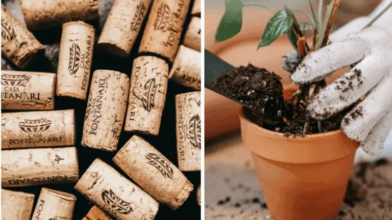 La Sorprendente Utilidad de los Tapones de Corcho en el Jardín