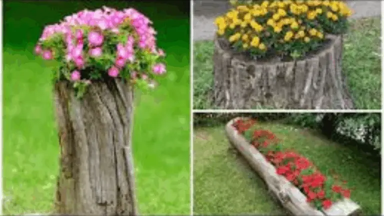 Transformando el jardín: Un método creativo para plantar flores