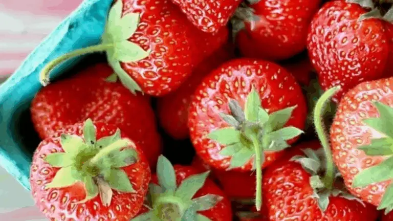 12 consejos infalibles para tener morangos jugosos, dulces y llenos de sabor