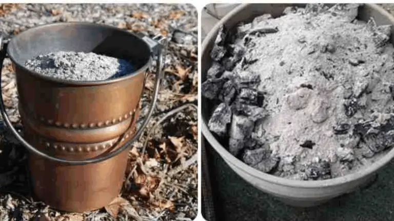 10 Utilisations brillantes des cendres de bois à la maison et au jardin