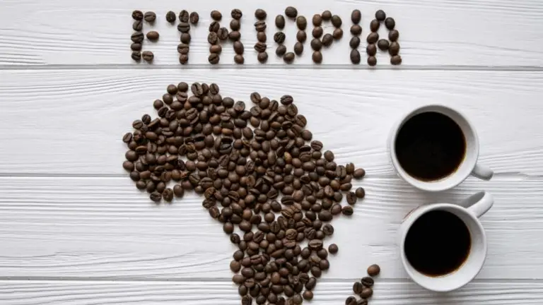 La fascinante historia del café: desde su origen en Etiopía hasta tu taza