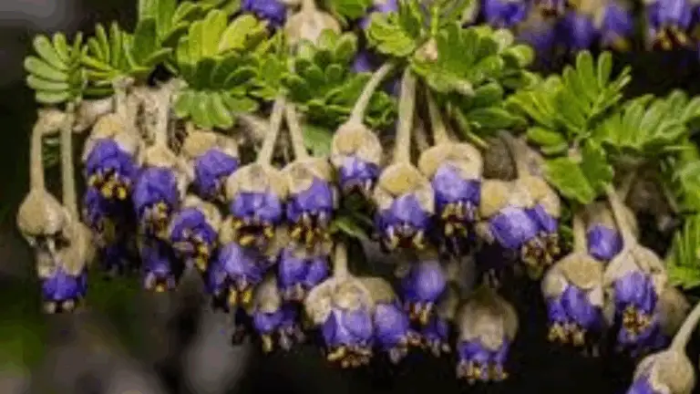 Los árboles en flor: una forma maravillosa de embellecer tu jardín