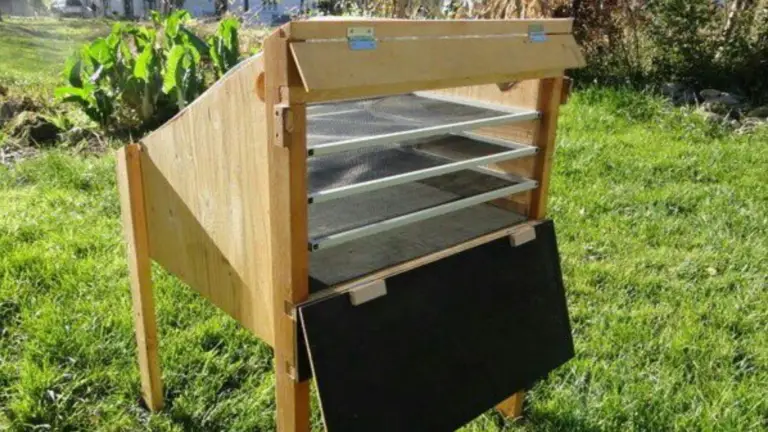 La Deshidratación Solar: Un Arte Ancestral para Conservar Alimentos